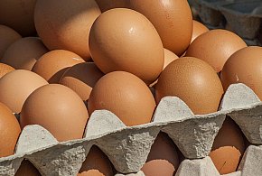 Salmonella wykryta w jajach! GIS wydał pilne ostrzeżenie-12014