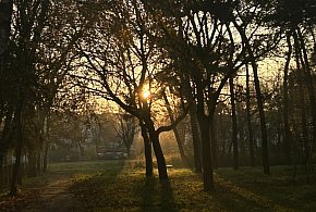 Nadchodzi najkrótszy dzień w 2025 roku. Sprawdź, kiedy przypadnie-12033