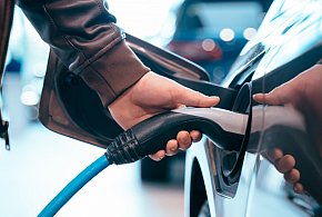 Coraz częściej dochodzi do takich kradzieży. Powody zaskakują