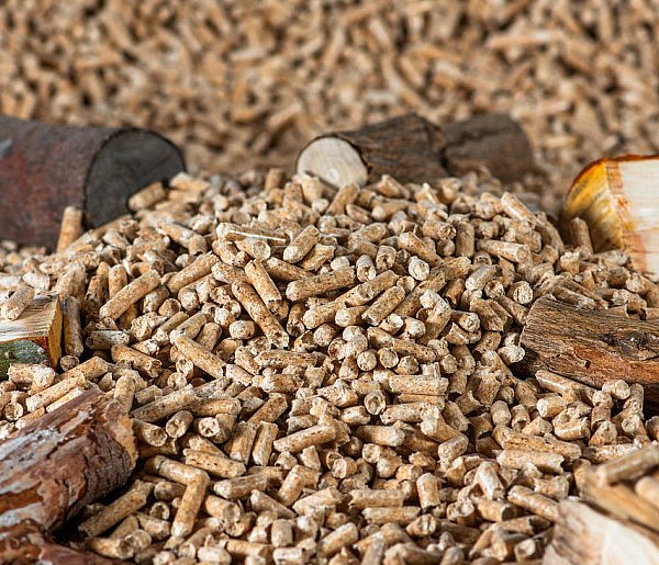 Drożeje popularny opał. Miliony Polaków dostaną po kieszeni tej zimy-11745